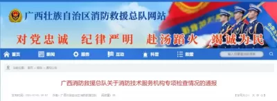 消防 技术服务机构 专项 检查情况 通报