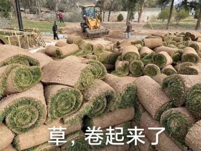 捧着铁饭碗也考二建