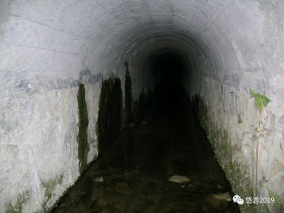 截水盲洞排水对大型滑坡的稳定性贡献